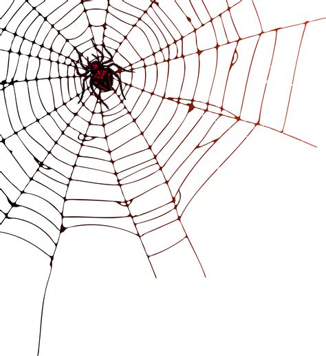 free spider web images|spider web with no background.